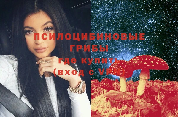 стаф Кинешма