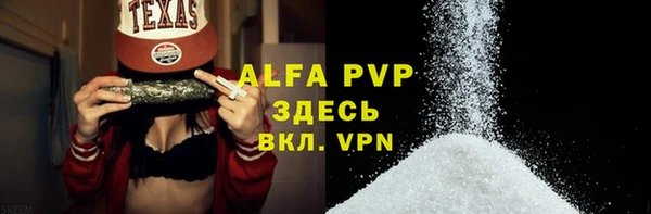 стаф Кинешма