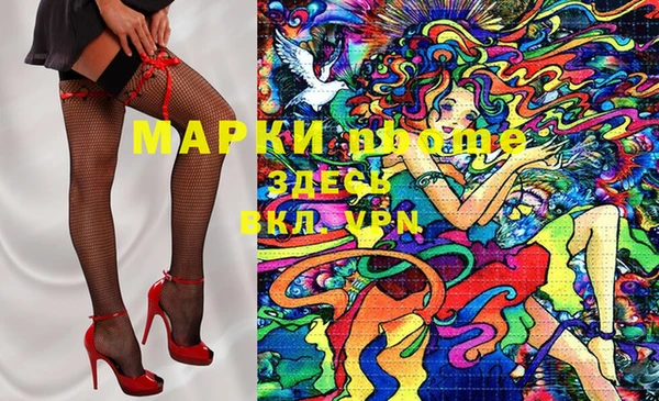 стаф Кинешма