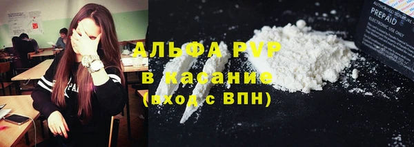 стаф Кинешма