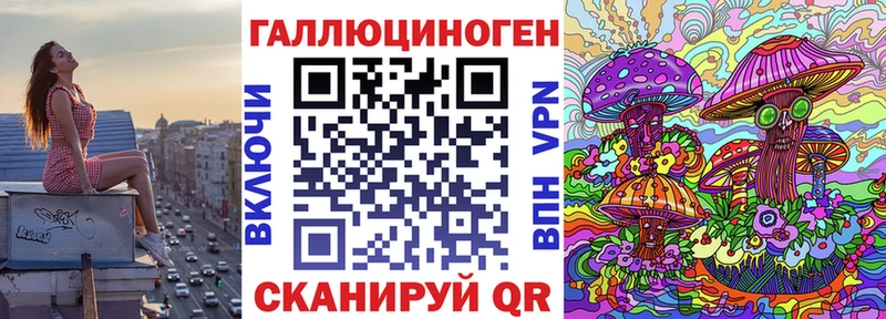 Купить  Кодинск  Псилоцибиновые грибы GOLDEN TEACHER 